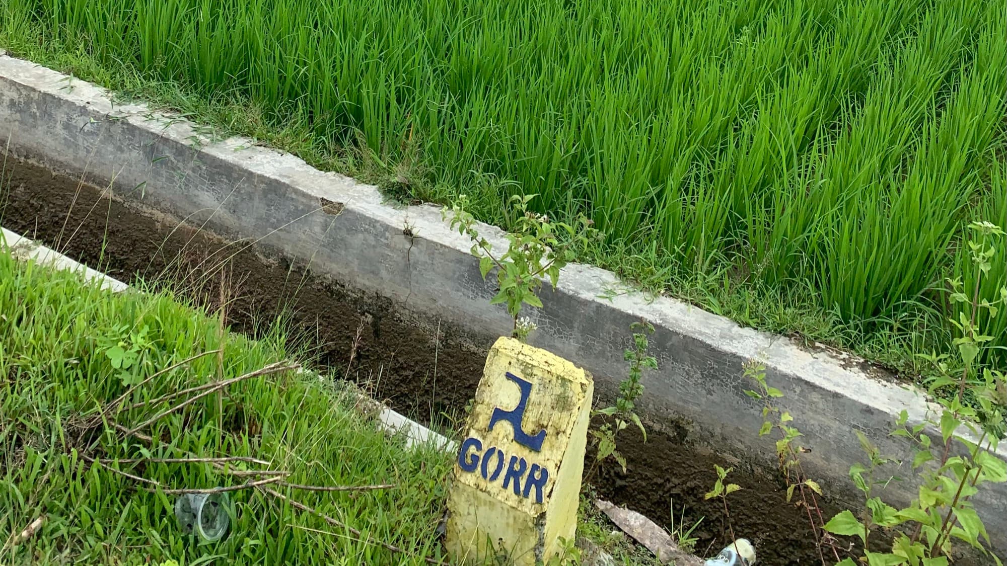 Rice field validation site in Gorontalo